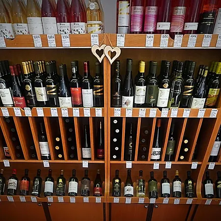 Dominant With Free Parking For Preregistered Drivers & Garage With Cctv Pensiune Bratislava