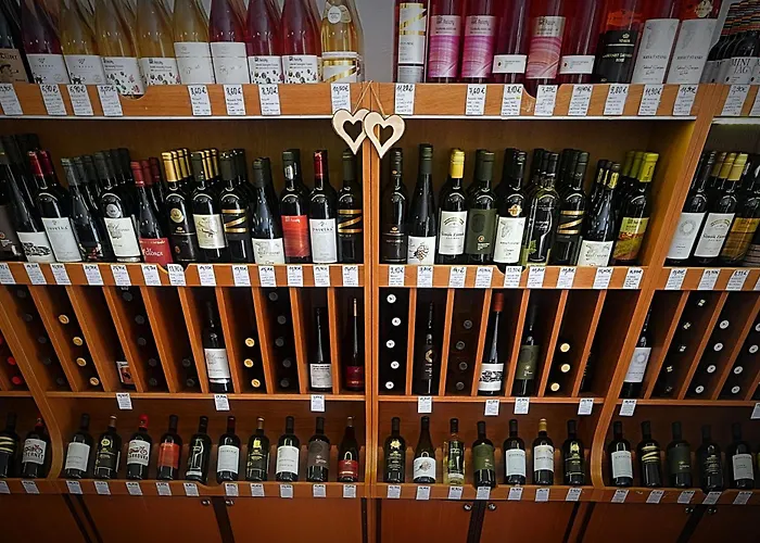 Dominant With Free Parking For Preregistered Drivers & Garage With Cctv Casa de hóspedes Bratislava